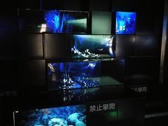-同济大学四平路校区深海探索馆