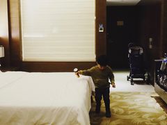 -东方帝景假日酒店