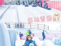 -盈香心动乐园