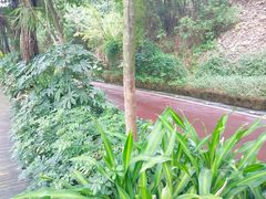 -金鸡山公园