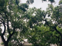-关中书院