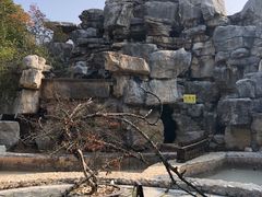 -深业半汤御泉庄温泉