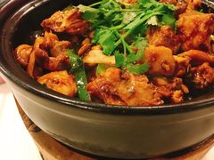 叹佬鸡煲-芳村榕树头叹佬鸡煲(体育西店)