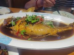 -潍城老菜馆·地标美食