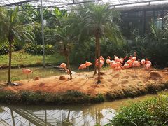 -无锡动物园·太湖欢乐园