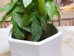 -茗蒸颜顺汗蒸美容养生馆(北景园店)