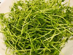 鲜豆苗-烹然四季椰子鸡火锅(团结湖总店)