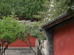 -窦大夫祠