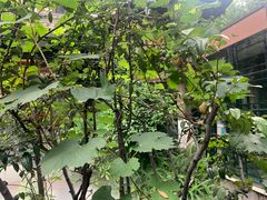 -大妙火锅·非物质文化遗产(东湖公园店)