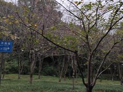 -团城山公园