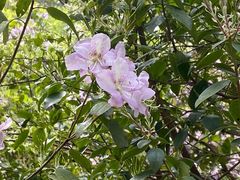 -十九峰景区-倒脱靴