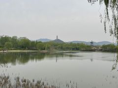 -北坞公园