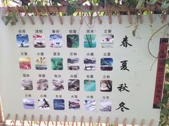 -上海都市菜园