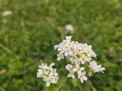 -新疆那拉提国家旅游度假区