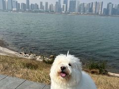 -长沙滨江文化园