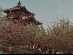 -西安青龙寺遗址景区