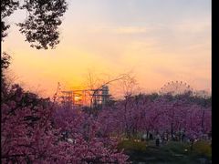 -东湖落雁景区