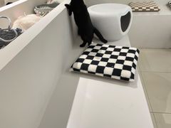 -怪兽屋·羊驼·猫咖·狗咖(俊华广场店)