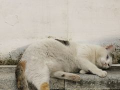 -荔湾湖公园