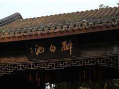 -上海醉白池公园