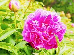 -长春公园(普阳街道)