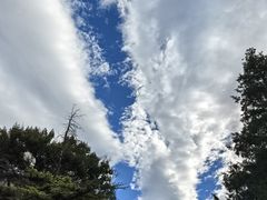 -首都医科大学附属北京友谊医院(西城院区)