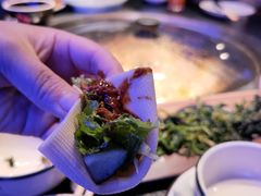 -挂雪铁锅炖大鹅