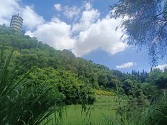 -深圳国际园林花卉博览园