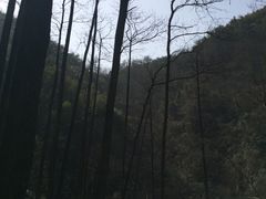 -藏龙百瀑风景区