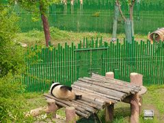 -沈阳森林动物园