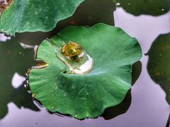 -四川大学(华西校区)