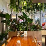 深圳首家⚠️宝子们都给我锁定🔒这道🔥烤农场柠檬黄油鸡❗️