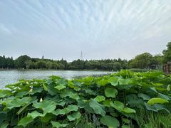 -新洲生态园