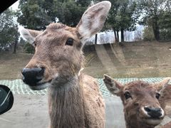 -常州淹城野生动物世界