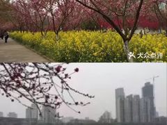 -西北湖绿化广场