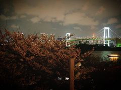 -台场海滨公园船码头