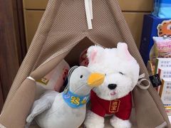 -美联众合动物医院·24h京西诊疗中心