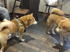 -三目仓咖啡(贤南路店)