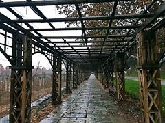 -北京张裕爱斐堡酒庄
