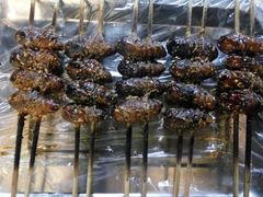 -兆辉木炭海鲜烧烤·海鲜小炒