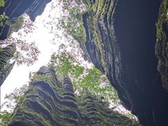 -梭布垭石林景区