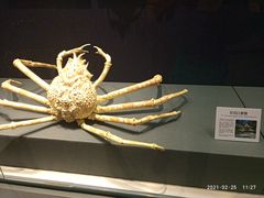 -大连自然博物馆