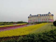 -广州花之恋城堡酒店