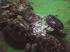 -常州海昌海洋探索馆