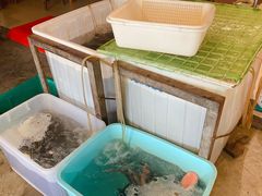 水产区-金海椒罐罐鲢鱼(东方桂苑店)