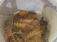 -DGE季风钓虾营地·团建·聚会