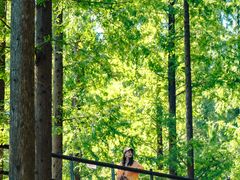 -黄海国家森林公园