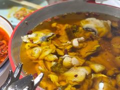 -雲蜀龙阁·金牌水煮鱼(方庄店)