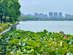 -石湖景区