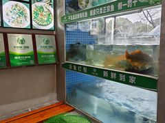 -全乐鱼馆·淳牌有机鱼直营店